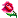 :flower: