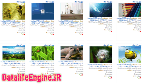 گالری تصاویر