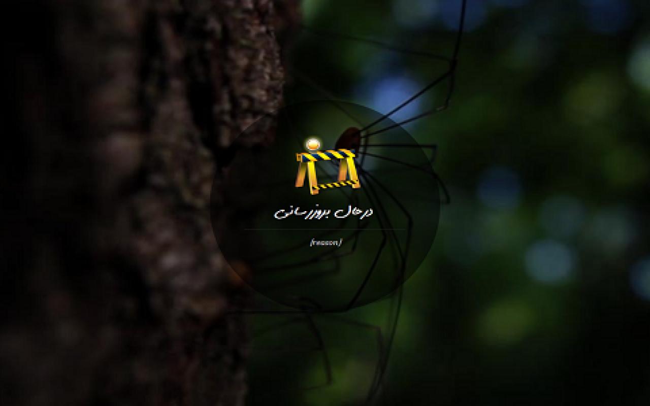 تصویر صفحه آفلاین سایت